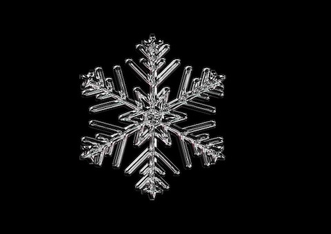 Snöflinga i närbild